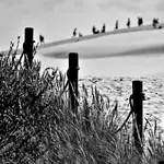 sand creative