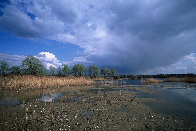 Cisza przed burzą