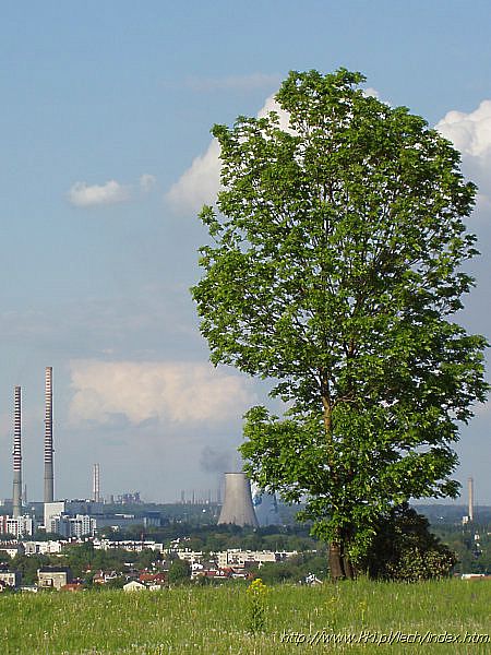 Widoki z Kopca Krakusa