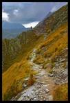 Tatry 2006 - samotny wędrowieć (wędrowczyni:)) - przełęcz Krzyżne