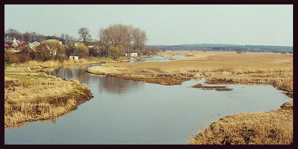 Narew