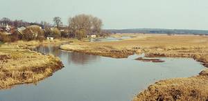 Narew