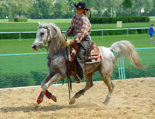 Western na Służewcu