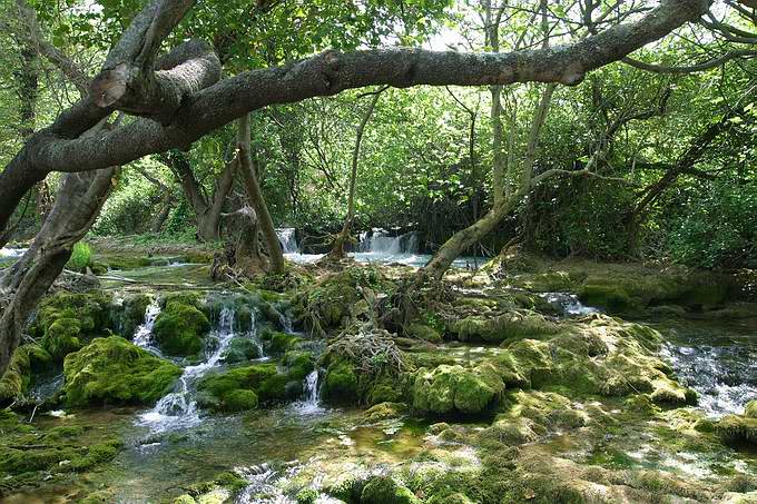 Krka