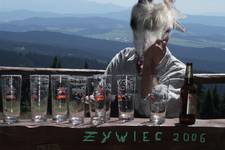 Żywiec 2006