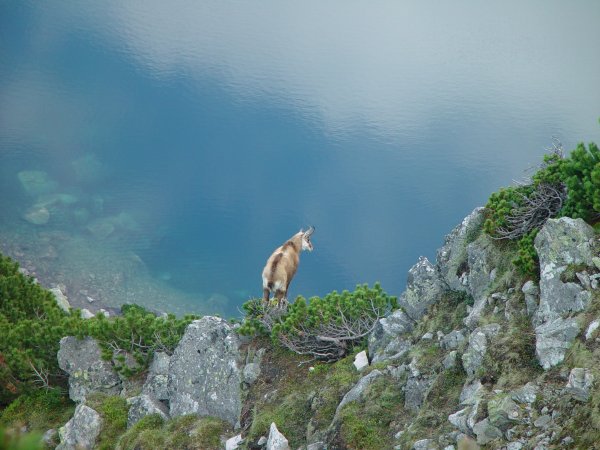 Tatry