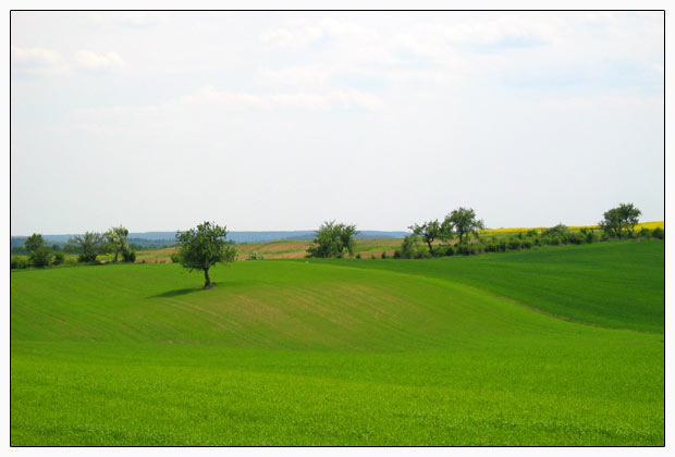 Ładna Nasza Polska Cała