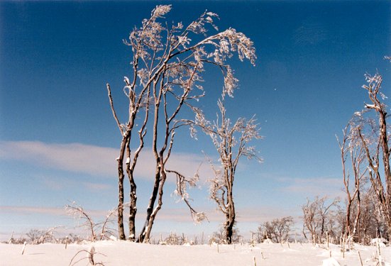 Zima w Beskidach