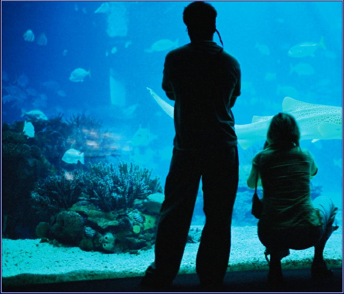 oceanarium