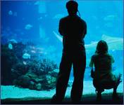 oceanarium