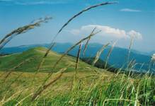 Bieszczady