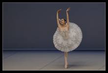 Prix de Lausanne 2007