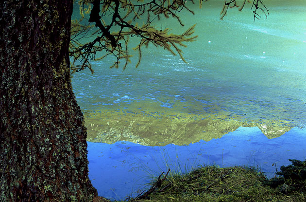 Mountain in natural mirror II