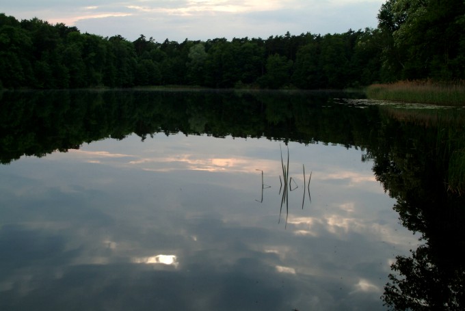 Wielkopolski Park Narodowy