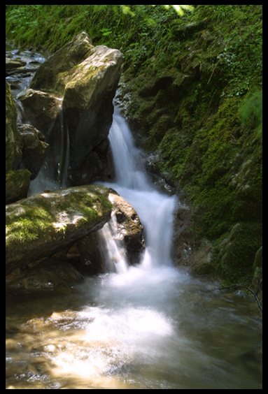 Pieniny - Wąwóz Homole