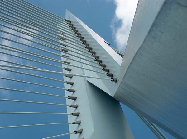 Erasmus bridge in Rotterdam