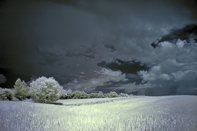 IR