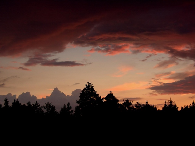 nad lasem na podlasiu