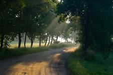 Misty road