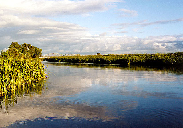 Narew#6