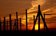 Majdanek