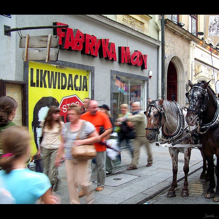 ... dokąd oni się tak spieszą, stary ?