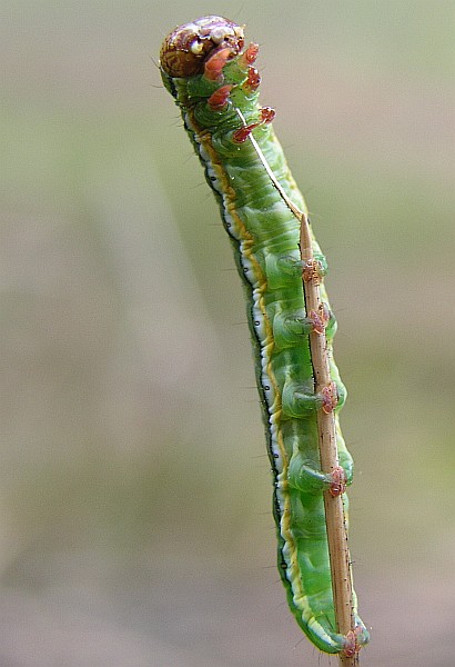 koniec drogi