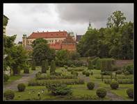 Ogród przed Muzeum Archeologicznym w Krakowie.