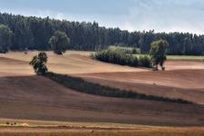 pola we wrześniu