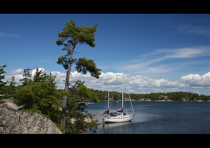 Beardrop Harbour raz jeszcze