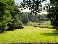 Bialowieski Park Nar.