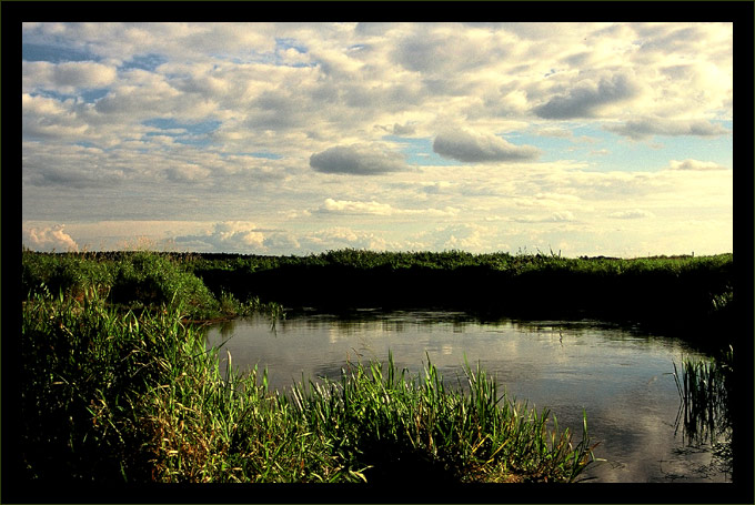 narew i okolice II