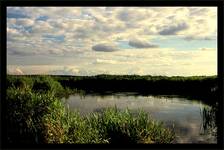 narew i okolice II