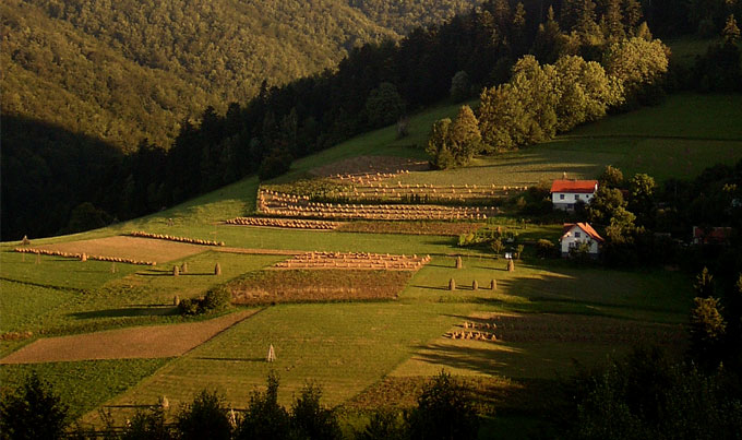 Pocztówka z wakacji