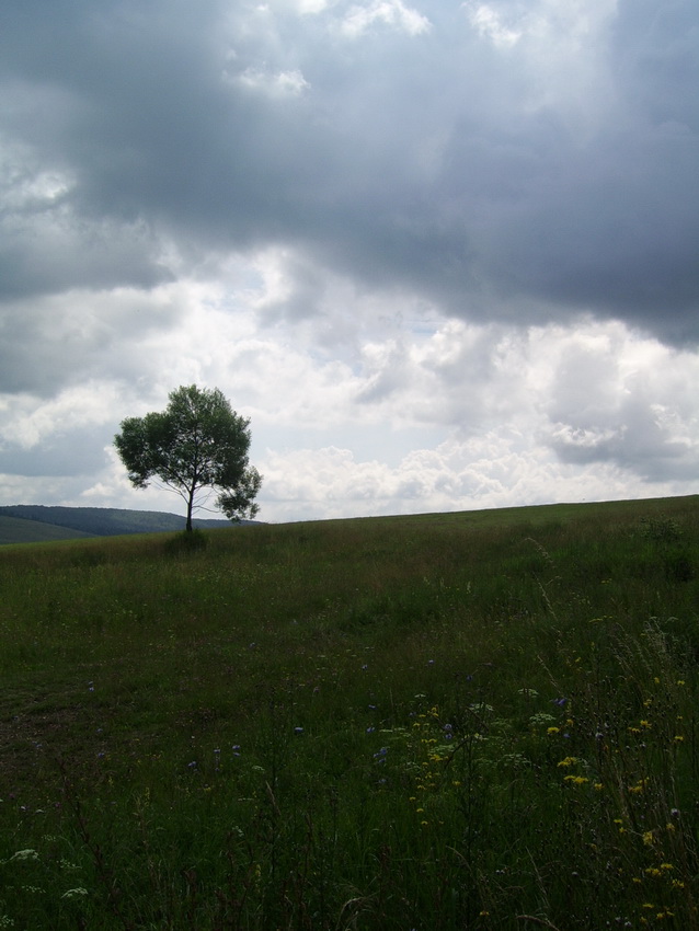 Beskid