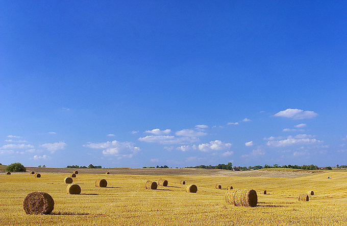 Sto hektarów sztuki