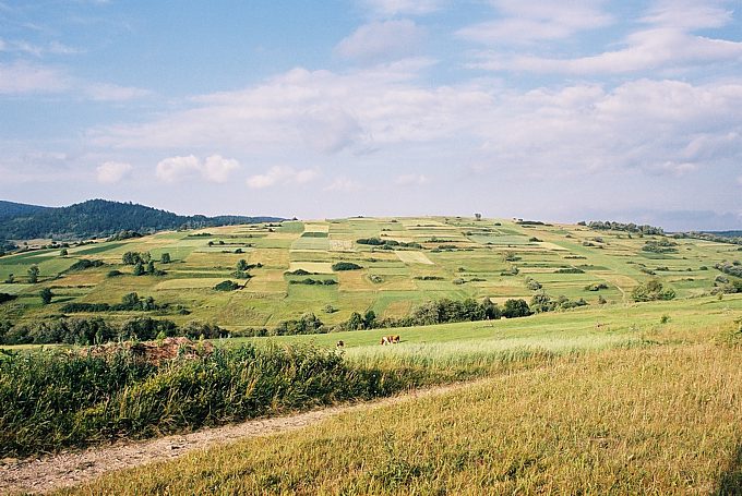 Szachownica