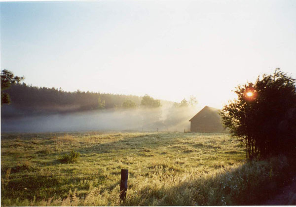 Rano nad Pasłęką