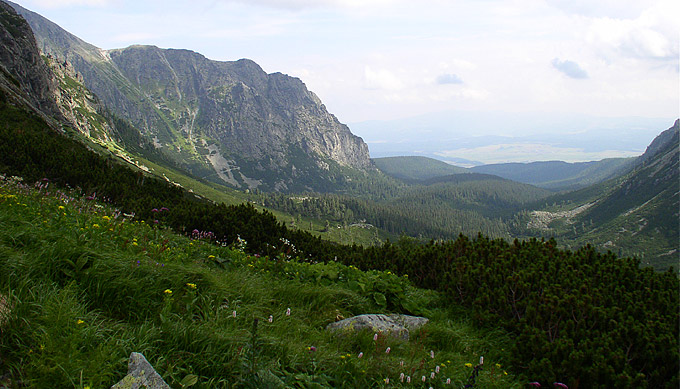 Dolinka... Widok ze szlaku na Rysy