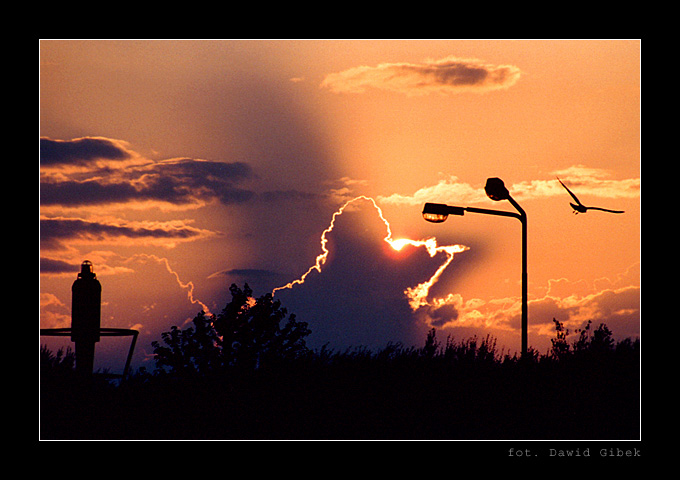 Ustka #5/6