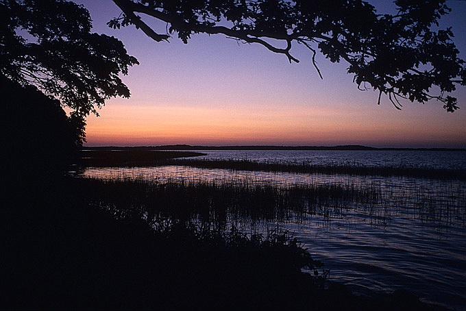 Mazury