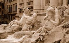 fontana di trevi