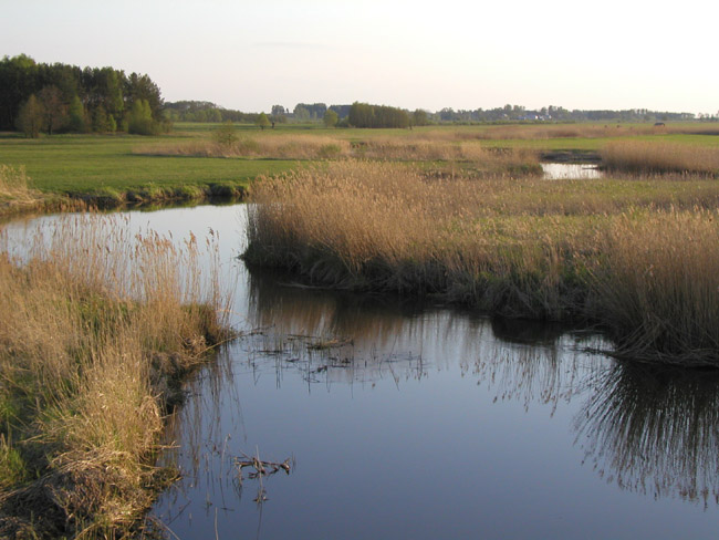 Biebrza 2 - landszafcik