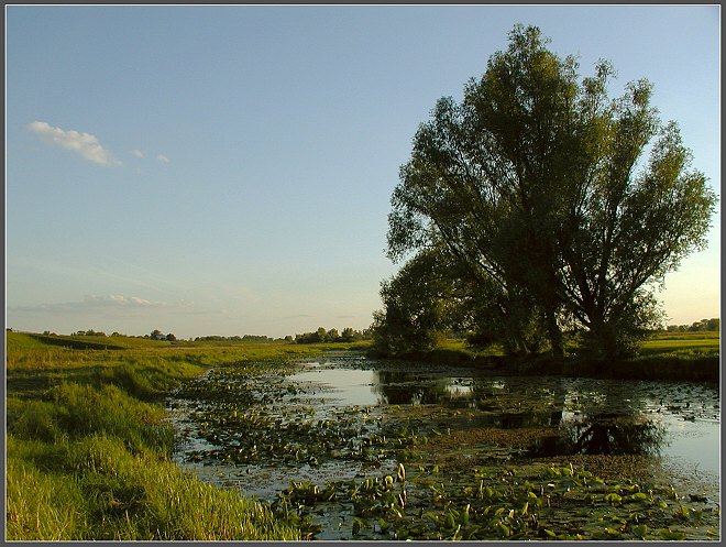 cisza i spokój