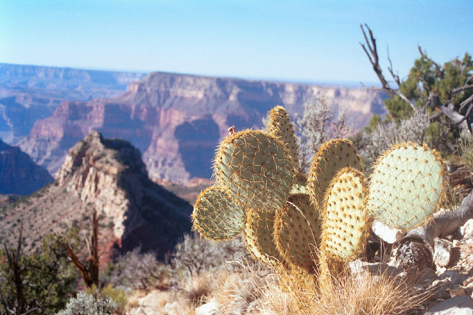 Grand Canyon