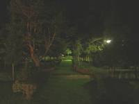 Green way at night