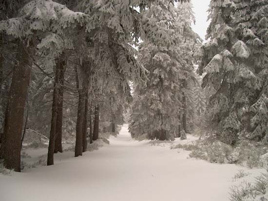 Beskid