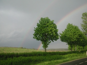 widok z okna samochodu