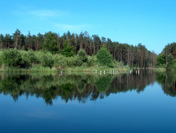 Gdzieś nad wodą...