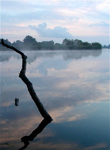 Galąź w rzece